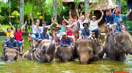 エレファントライド_02